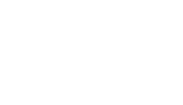 IBP International Business Professions